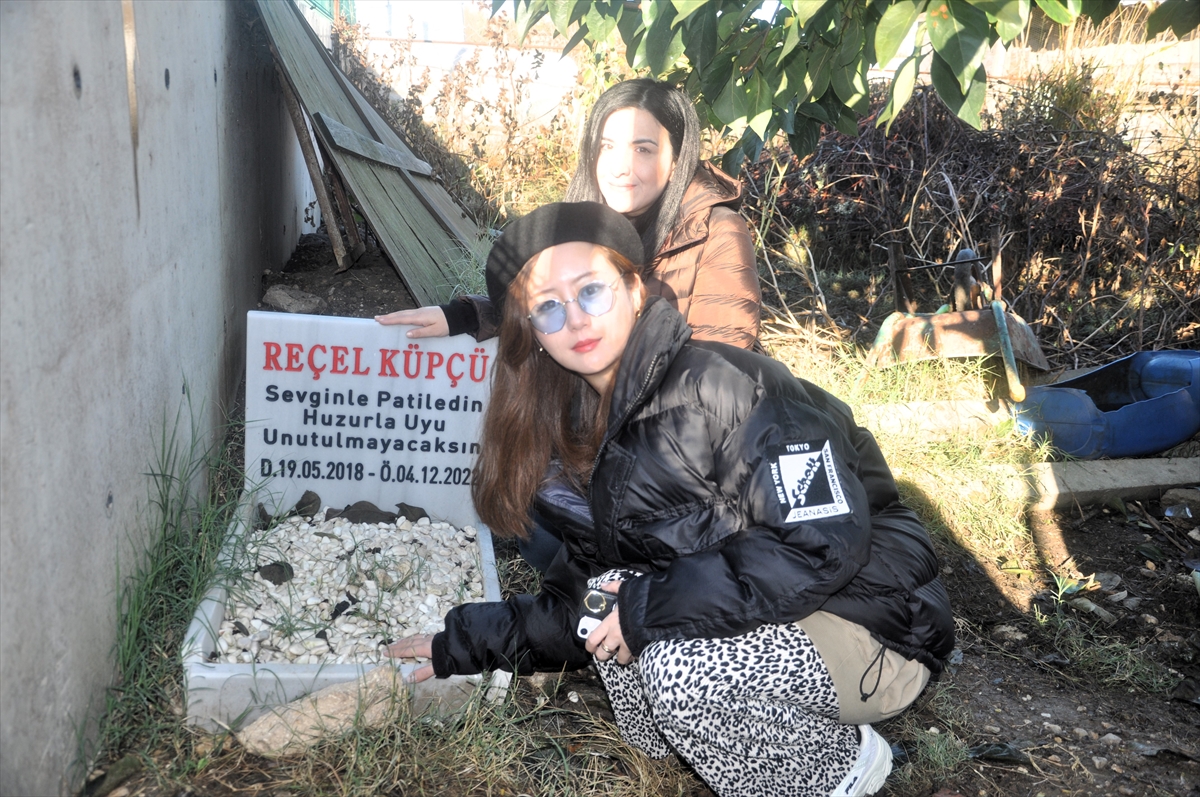 AA-20231114-32879254-32879253-KEDILERIYLE_ILGILI_SOSYAL_MEDYA_PAYLASIMLARI_YAPAN_LULEBURGAZLI_AILE_JAPON_TAKIPCILERINI_AGIRLADI