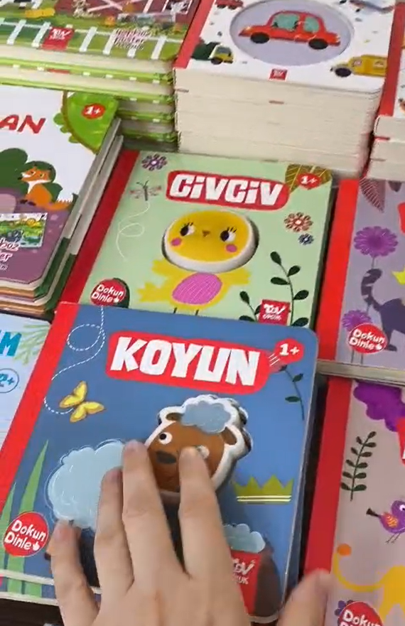 Ekran Görüntüsü 2025 05 12 170627