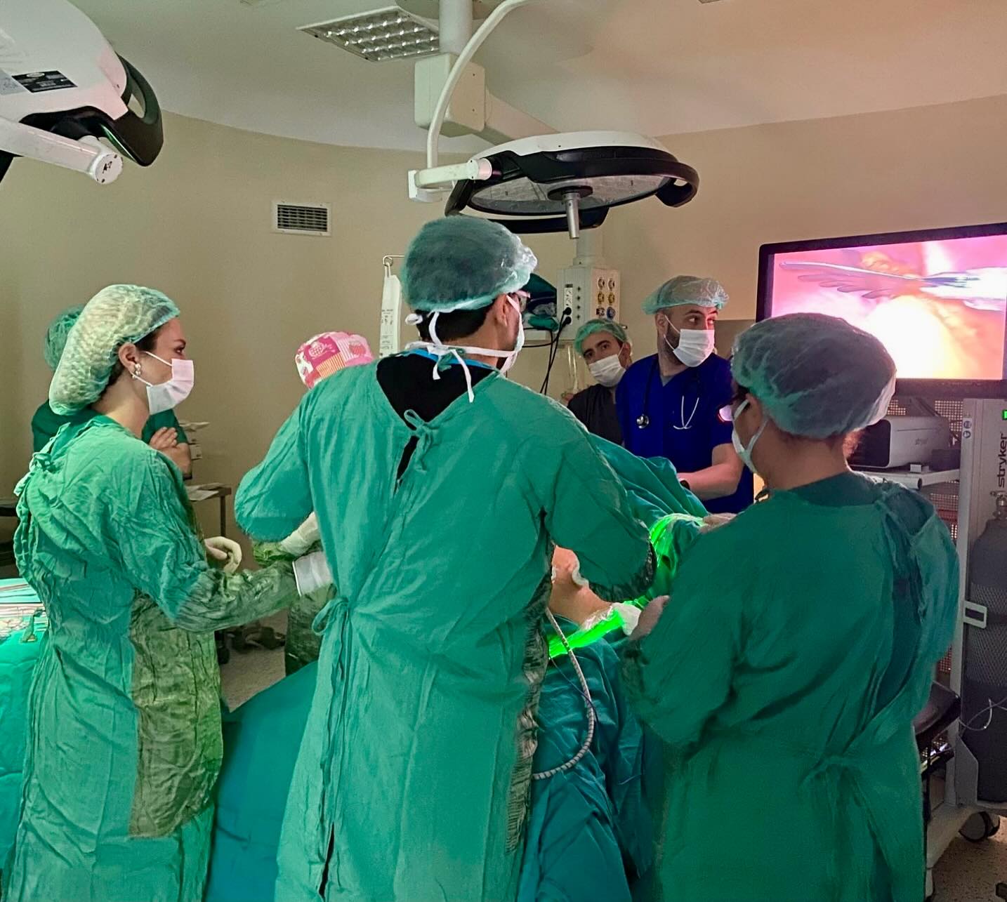 521307790 18300262147218733 2333766691976636544 N