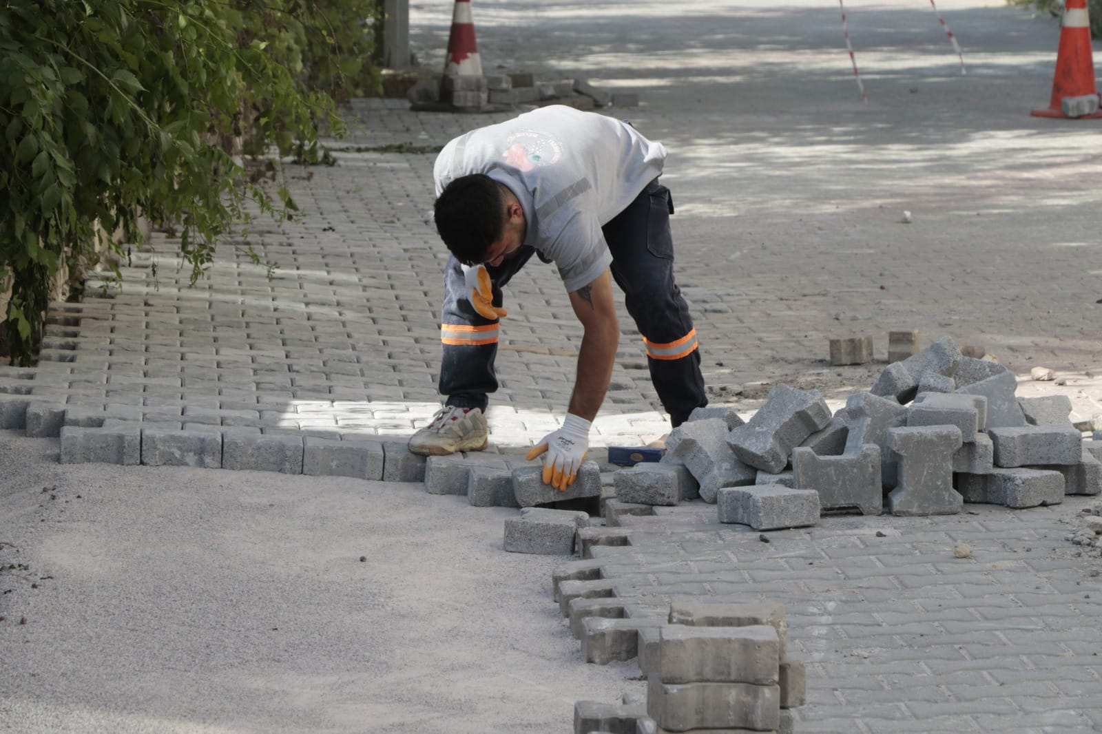 6517D8Cc E4Ca 46Cb 8103 D750B2730D2A