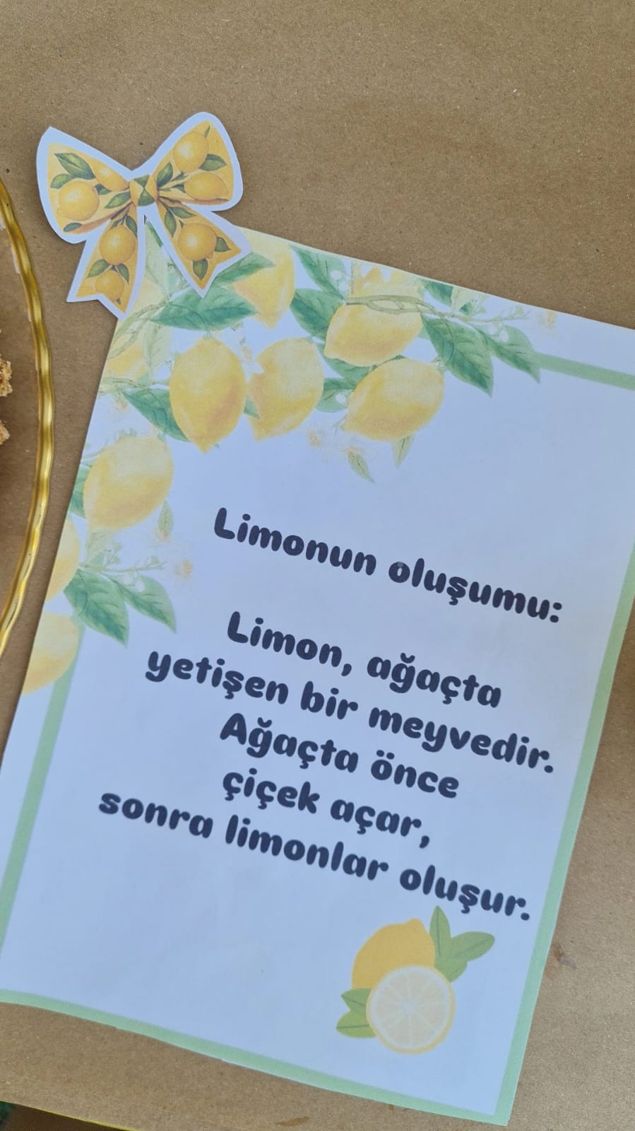 9Fd8E6C2 B7E9 4B9F 8088 Efca2B32A9Eb