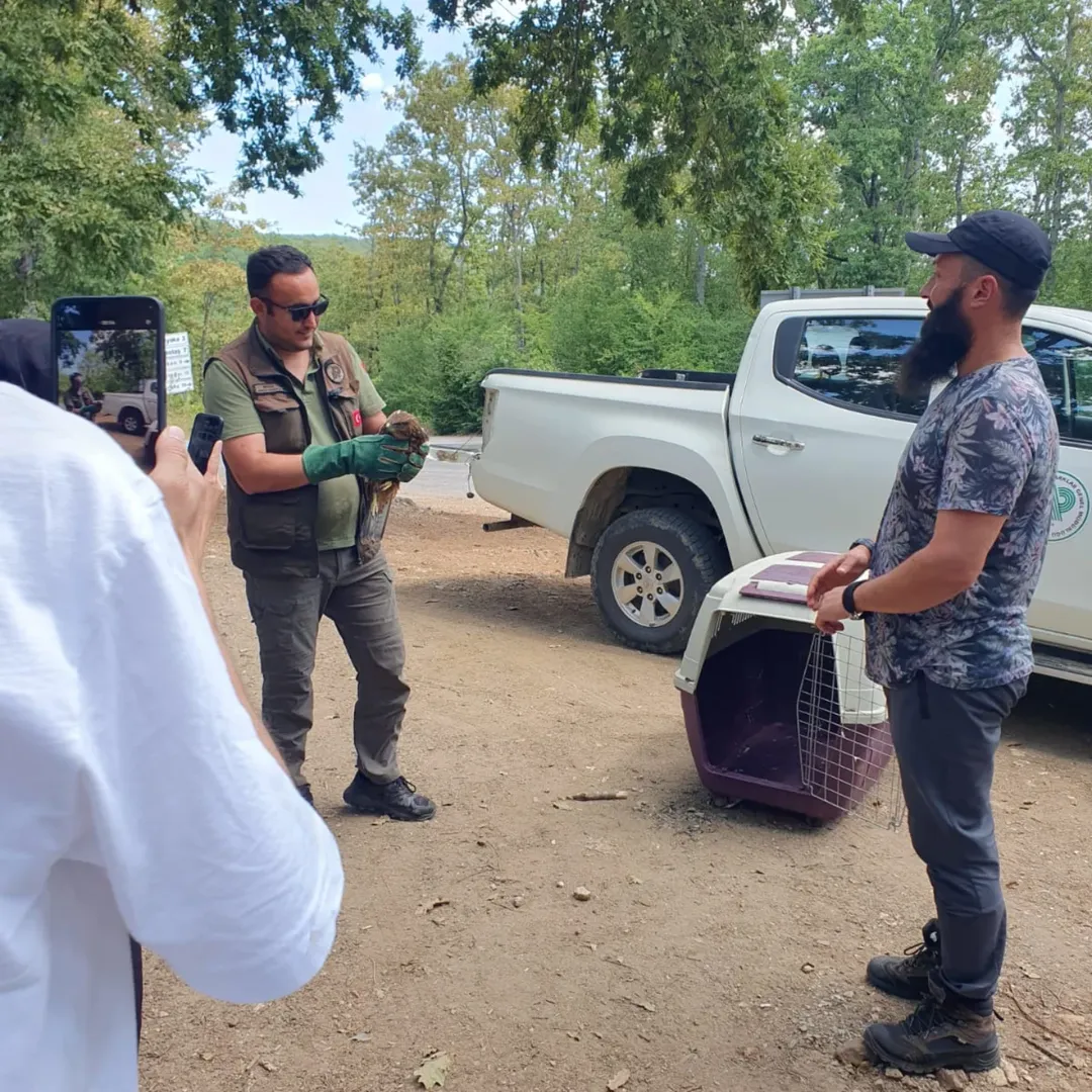 Demirköy Balaban Köyde Yaralı Şahin Için Dkmp Kırklareli Şube Müdürlüğünü Arayan Samet Akalın A (1)