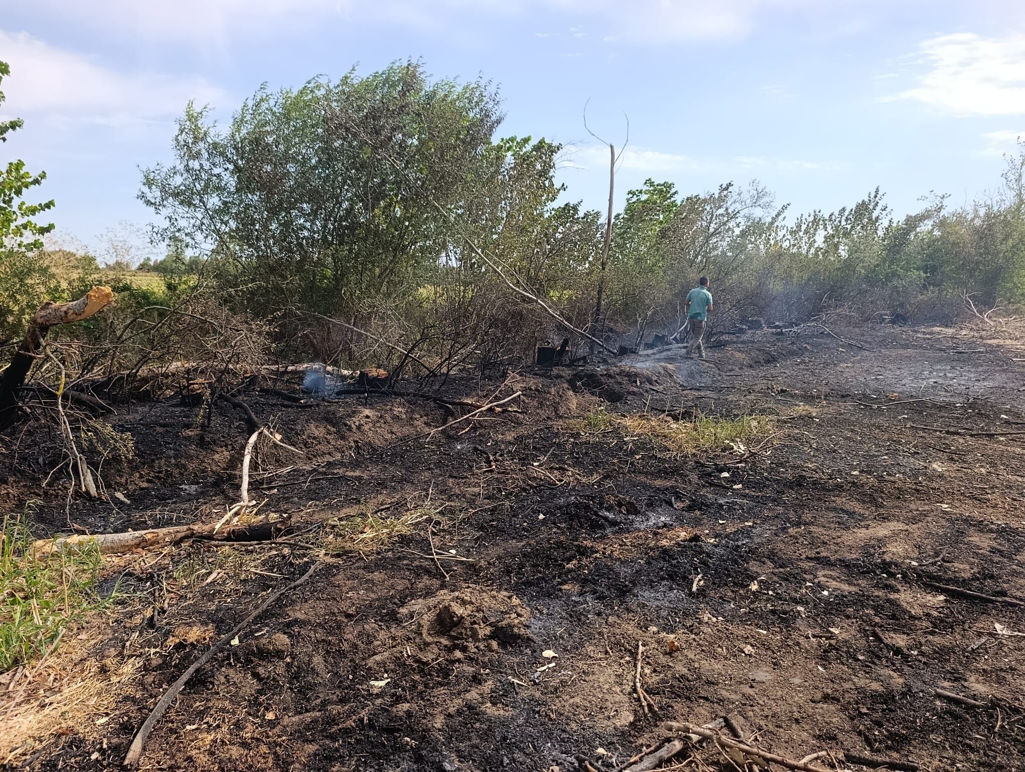 01B61Ba2 728C 4860 B7E9 673Ca1Bbecdb