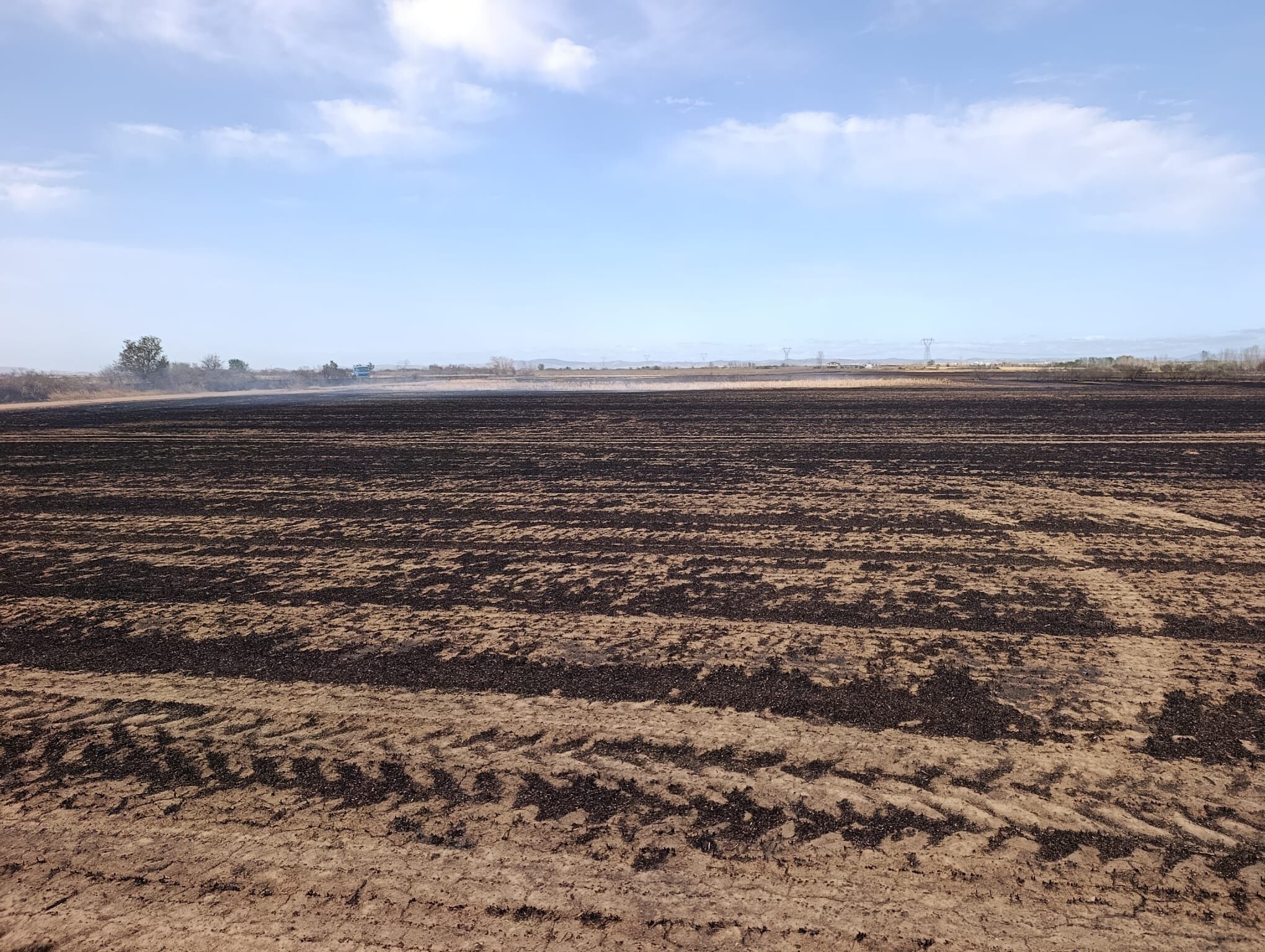 7Defb7Fd B6D9 407E 8D7E 47F4Adcbd0B8