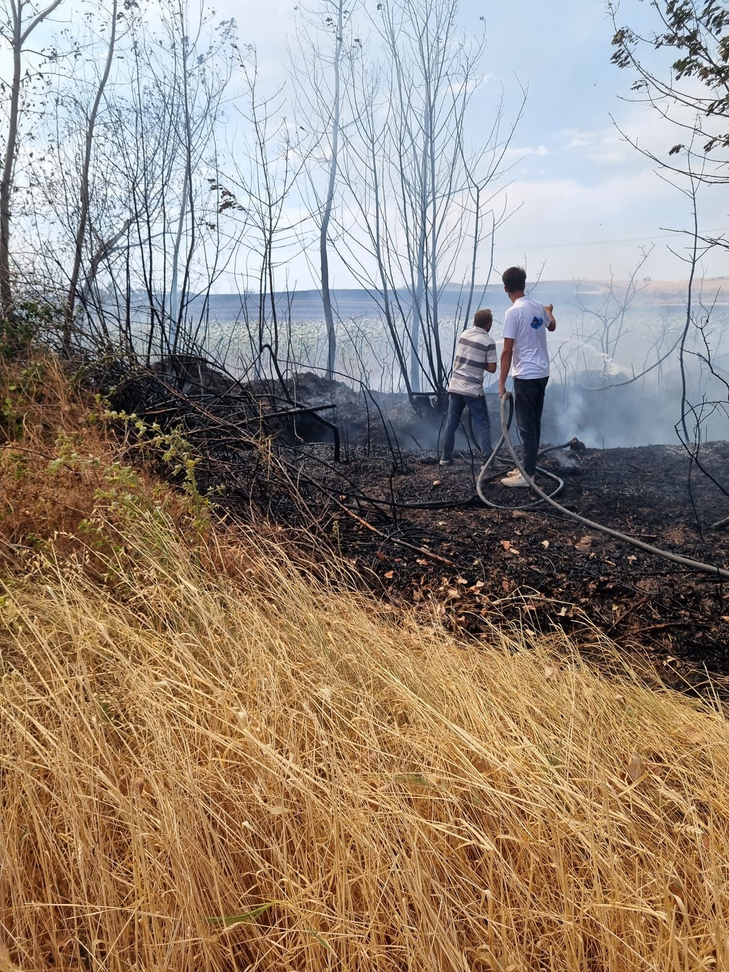 84C8E41A 8E70 48Cf 902A E199A6Bf3D03