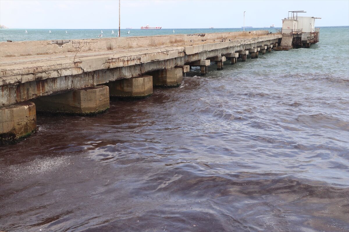 A A 20250814 38828292 38828289 T E K I R D A G D A P O Y R A Z N E D E N I Y L E S A H I L I N B I R K I S M I K I R M I Z I Y O S U N L A K A P L A N D I