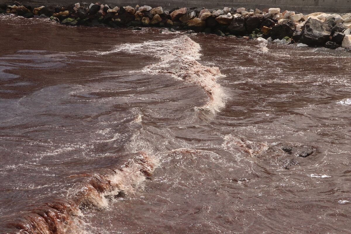 A A 20250814 38828292 38828290 T E K I R D A G D A P O Y R A Z N E D E N I Y L E S A H I L I N B I R K I S M I K I R M I Z I Y O S U N L A K A P L A N D I