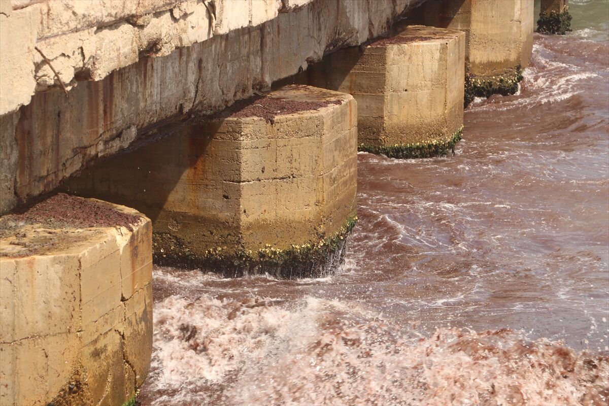 A A 20250814 38828292 38828291 T E K I R D A G D A P O Y R A Z N E D E N I Y L E S A H I L I N B I R K I S M I K I R M I Z I Y O S U N L A K A P L A N D I