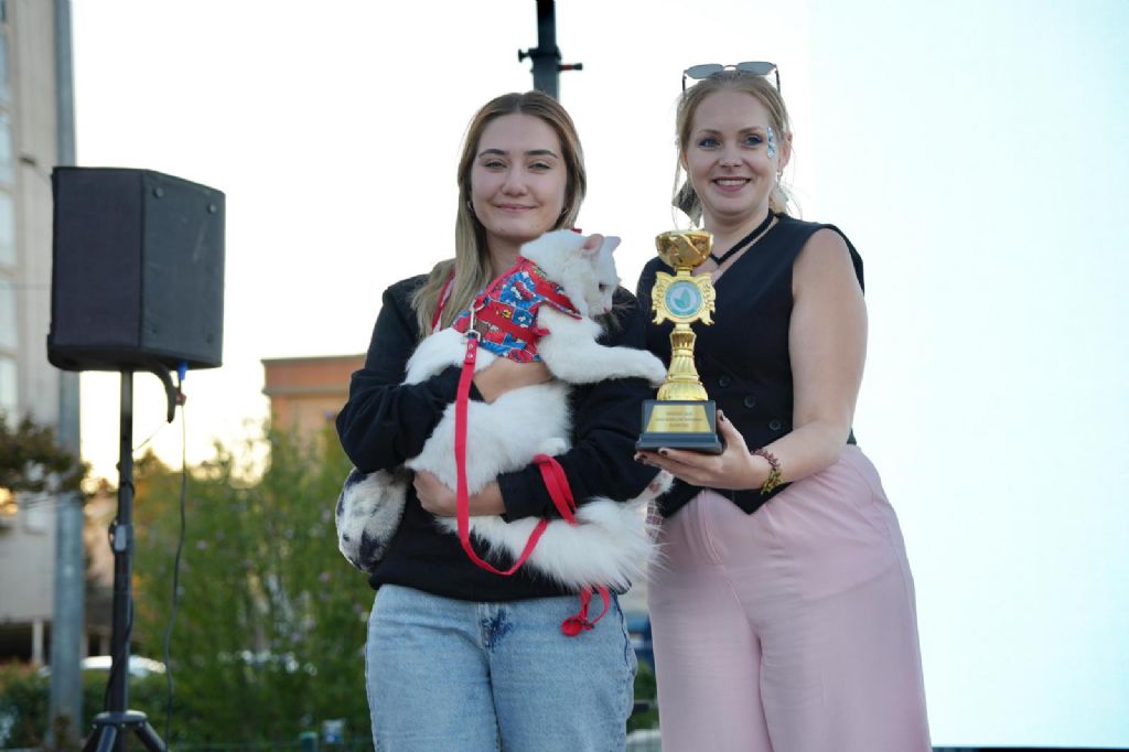 2 11 22092025152305 14 1024 768