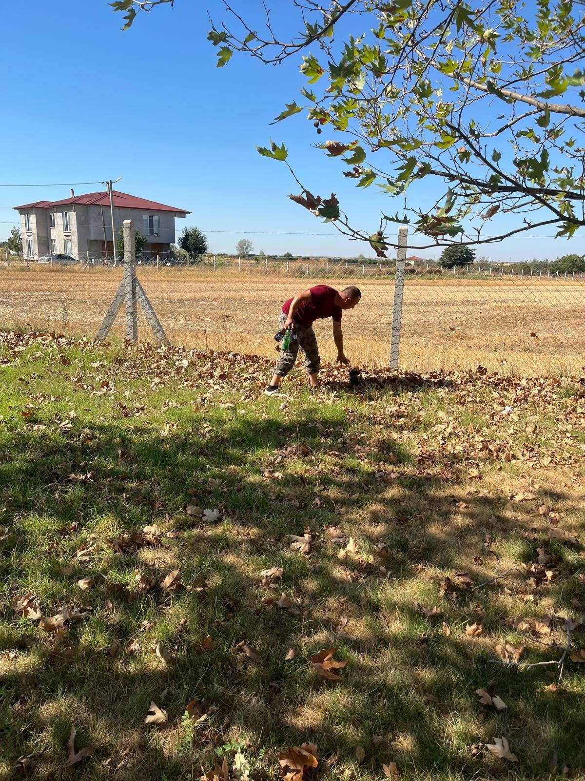 550446067 4100994086827852 7704543098370824517 N