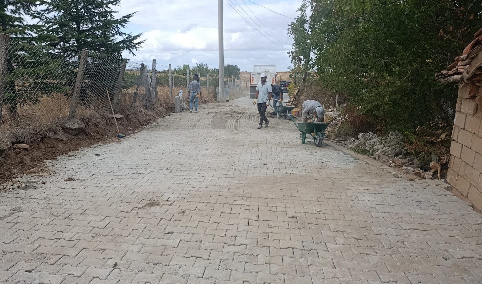 555733032 4113582345569026 5568504005237366632 N