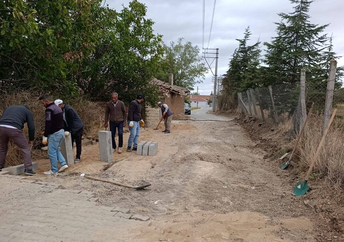 555740341 4113582198902374 4188704223282103290 N