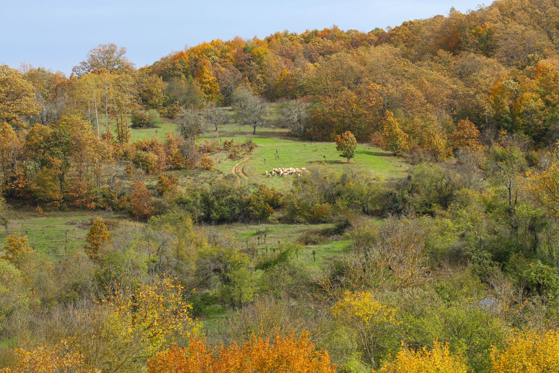 571208865 10162602792014221 2358695528173837480 N