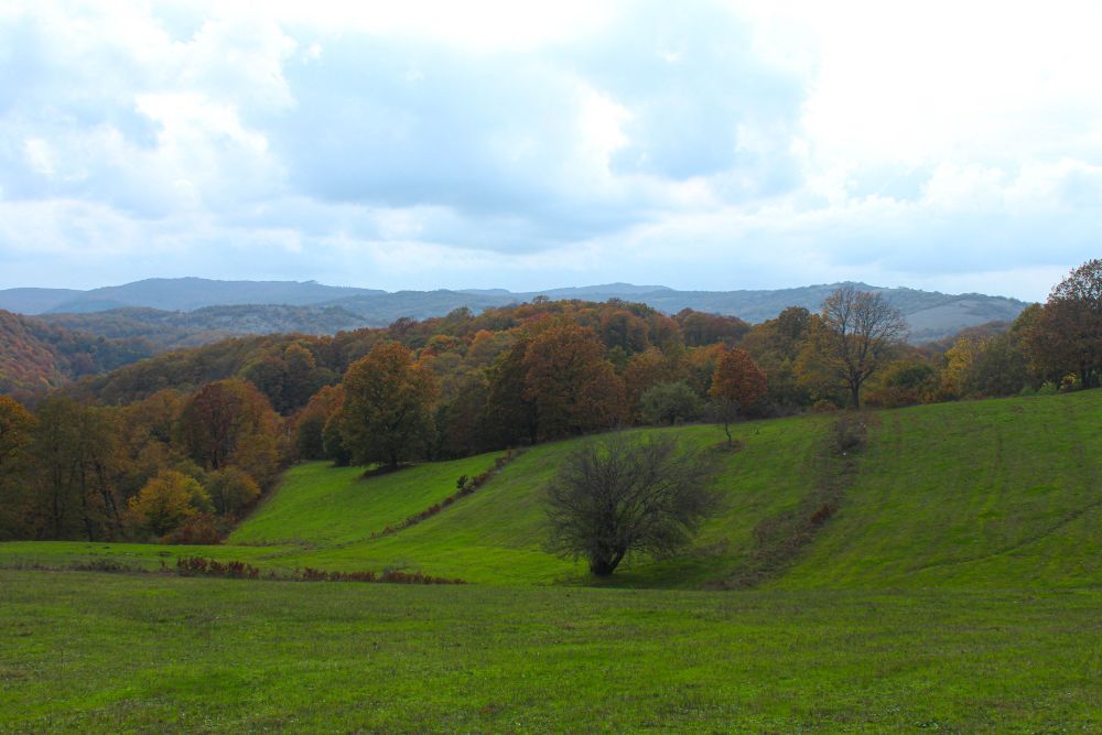 571558246 10162602792419221 757933237034488546 N