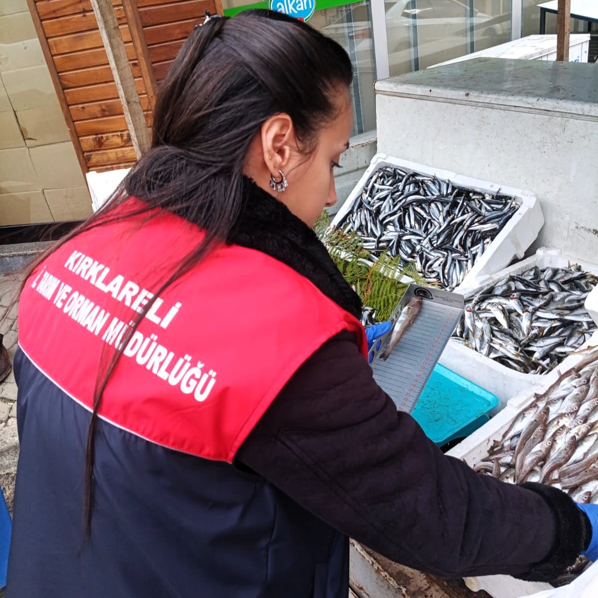 573479193 1277983784343284 1550290329926140580 N