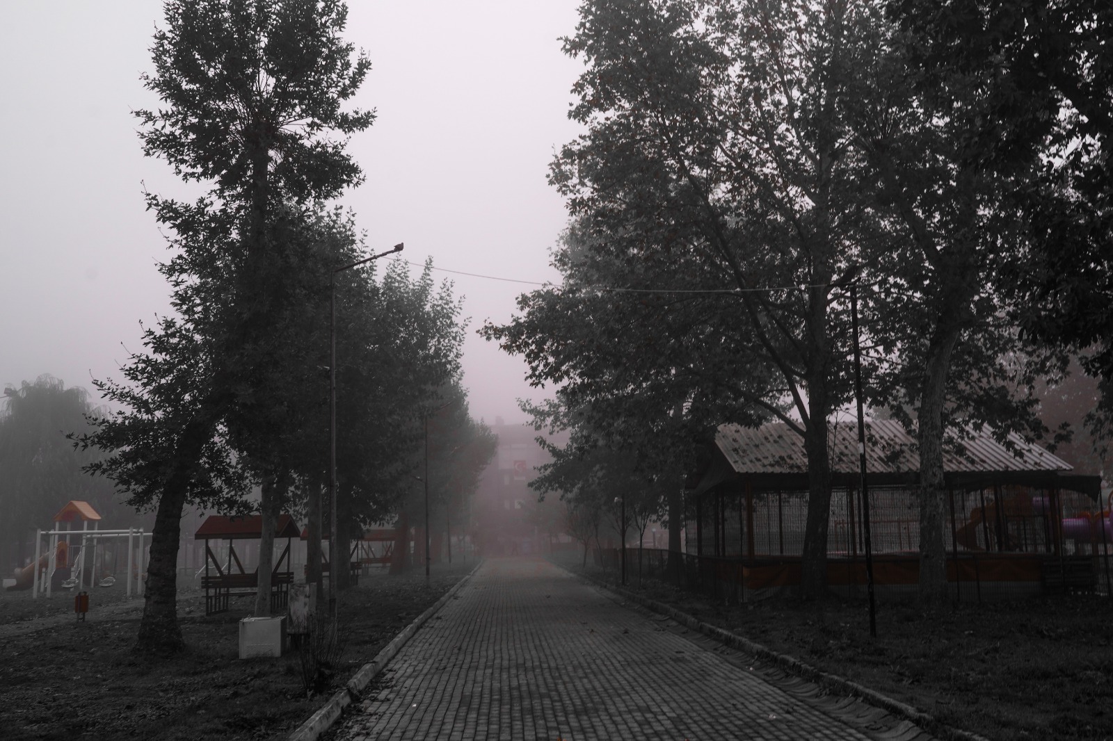 6Ed80F25 Fa48 4Ddf Af95 43B465004Af5