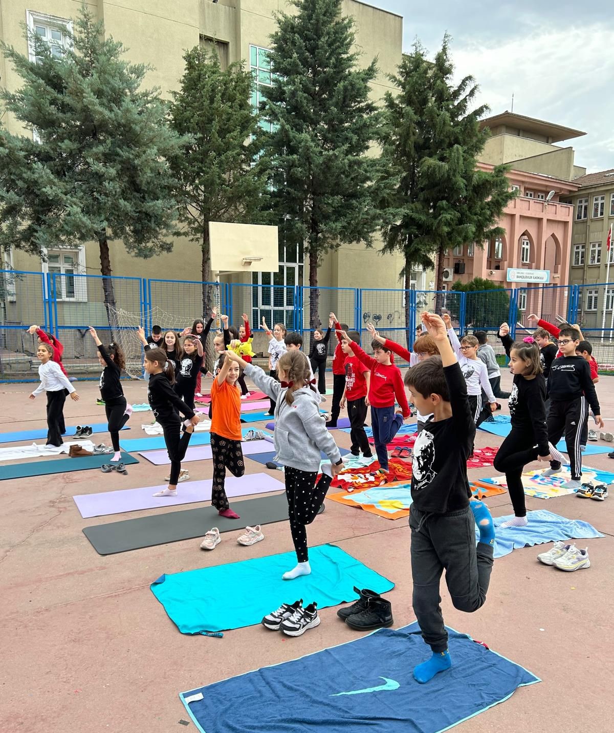 92Fba900 3968 4390 Ab25 Fc1B918D02E4