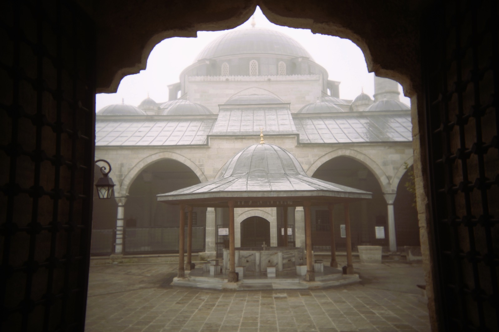 985F95A1 B3De 48C4 98D4 D3Ad710C7Bf7