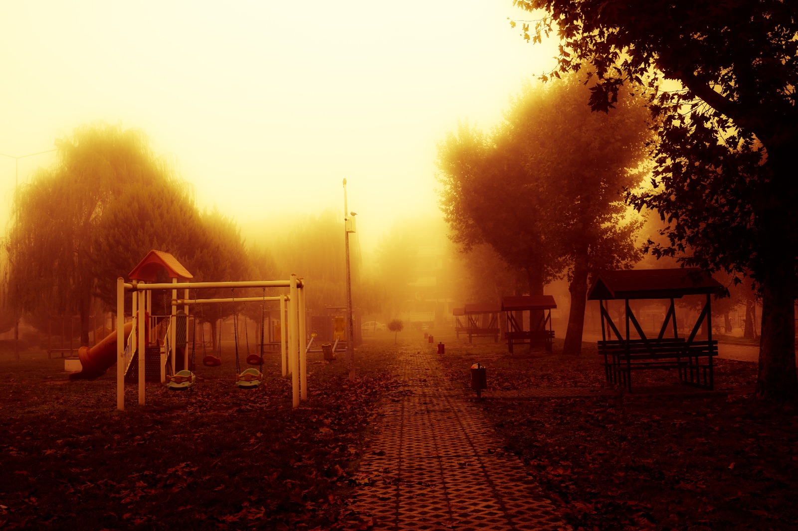 E0Bf6Cde Cad1 4Df1 8D06 500F7B8Db0A3