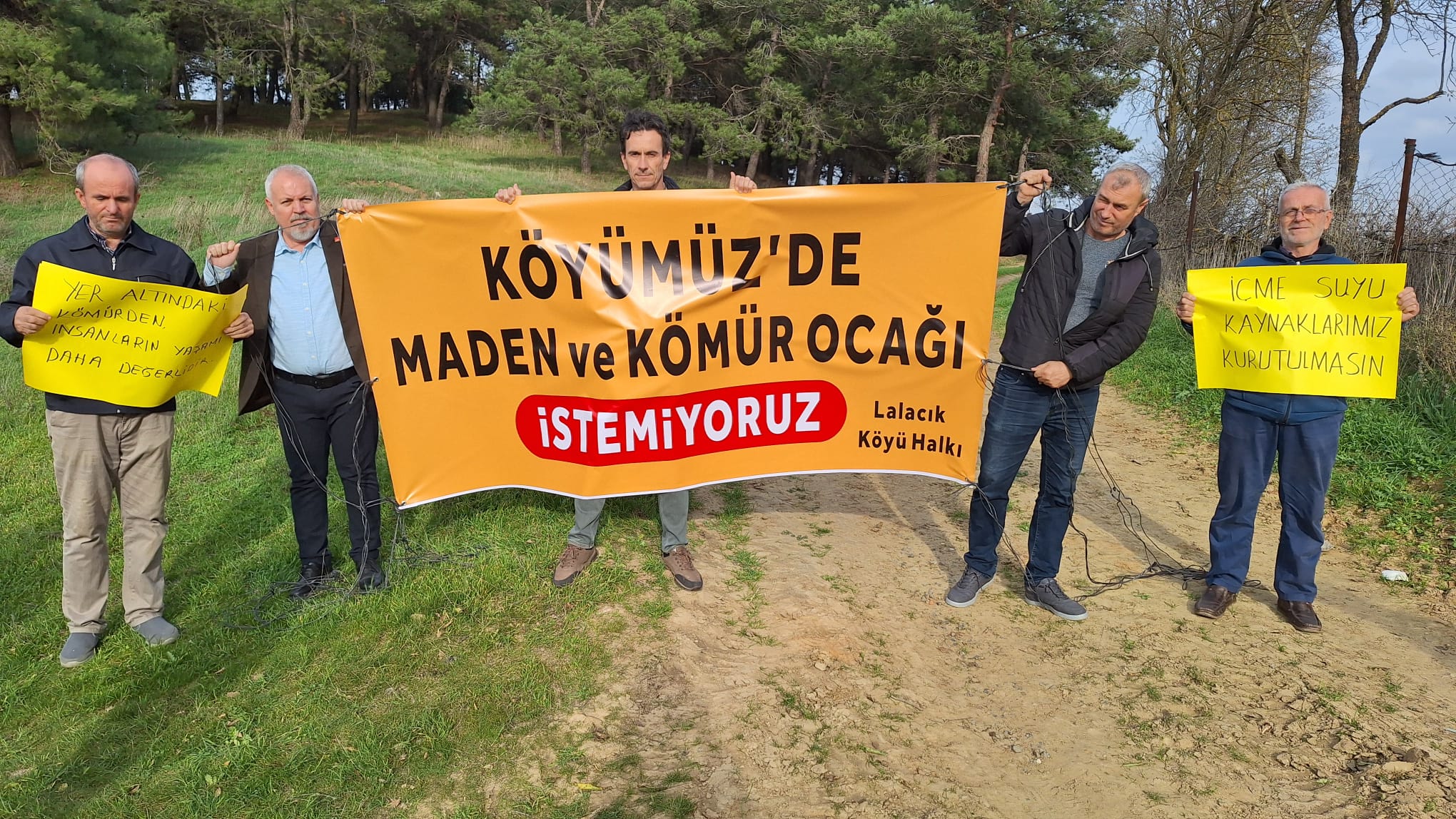 00Ebcfe8 Ca6A 4282 90B6 C15F706A9313