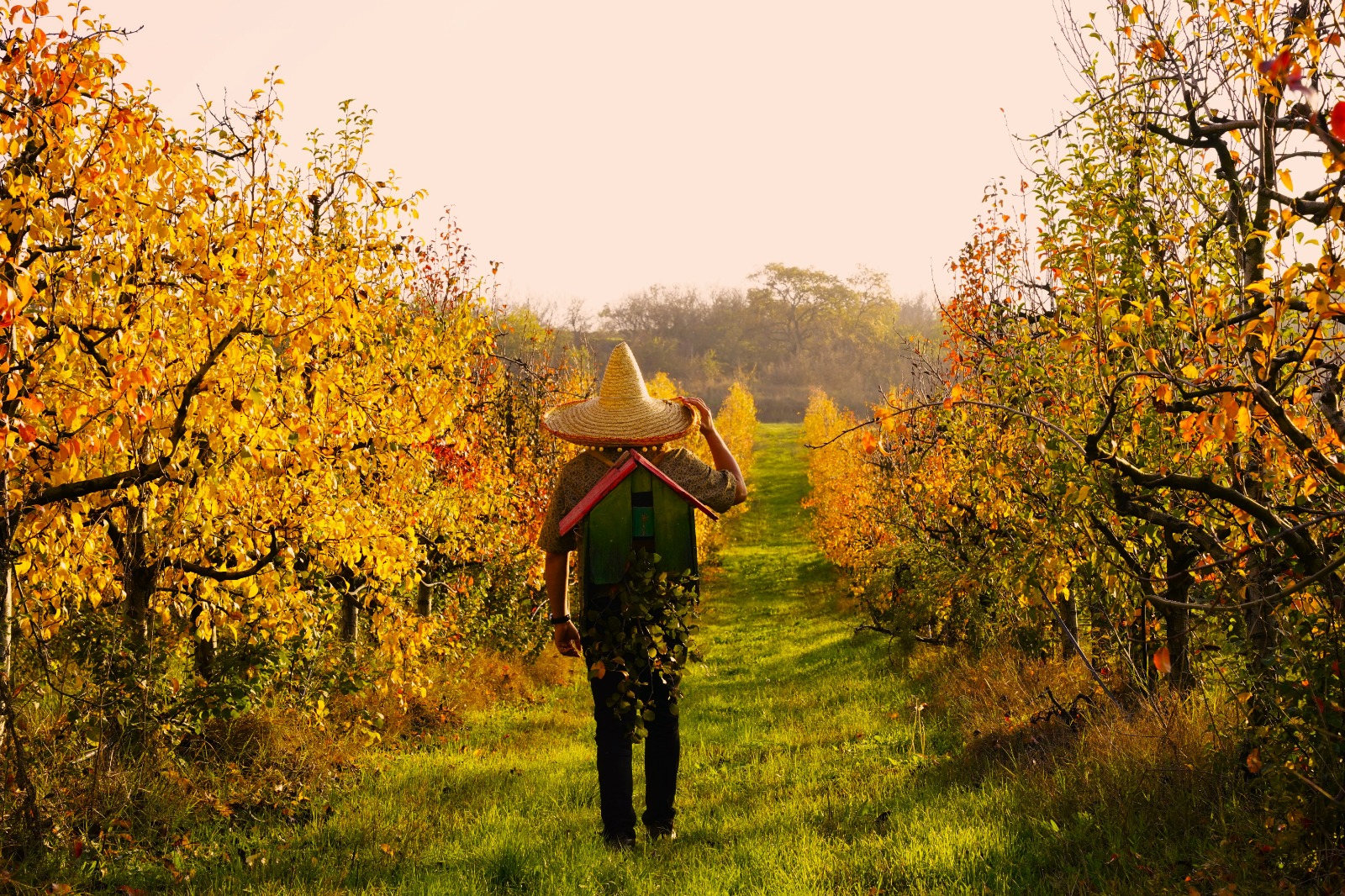 029C1Cdd 1Bd5 4678 9D4B 1A76C70Be21C