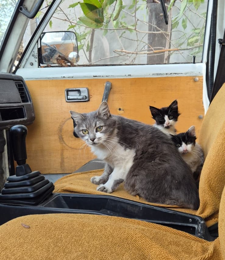 095C0000 039D 4678 B2Ef 69790D436250