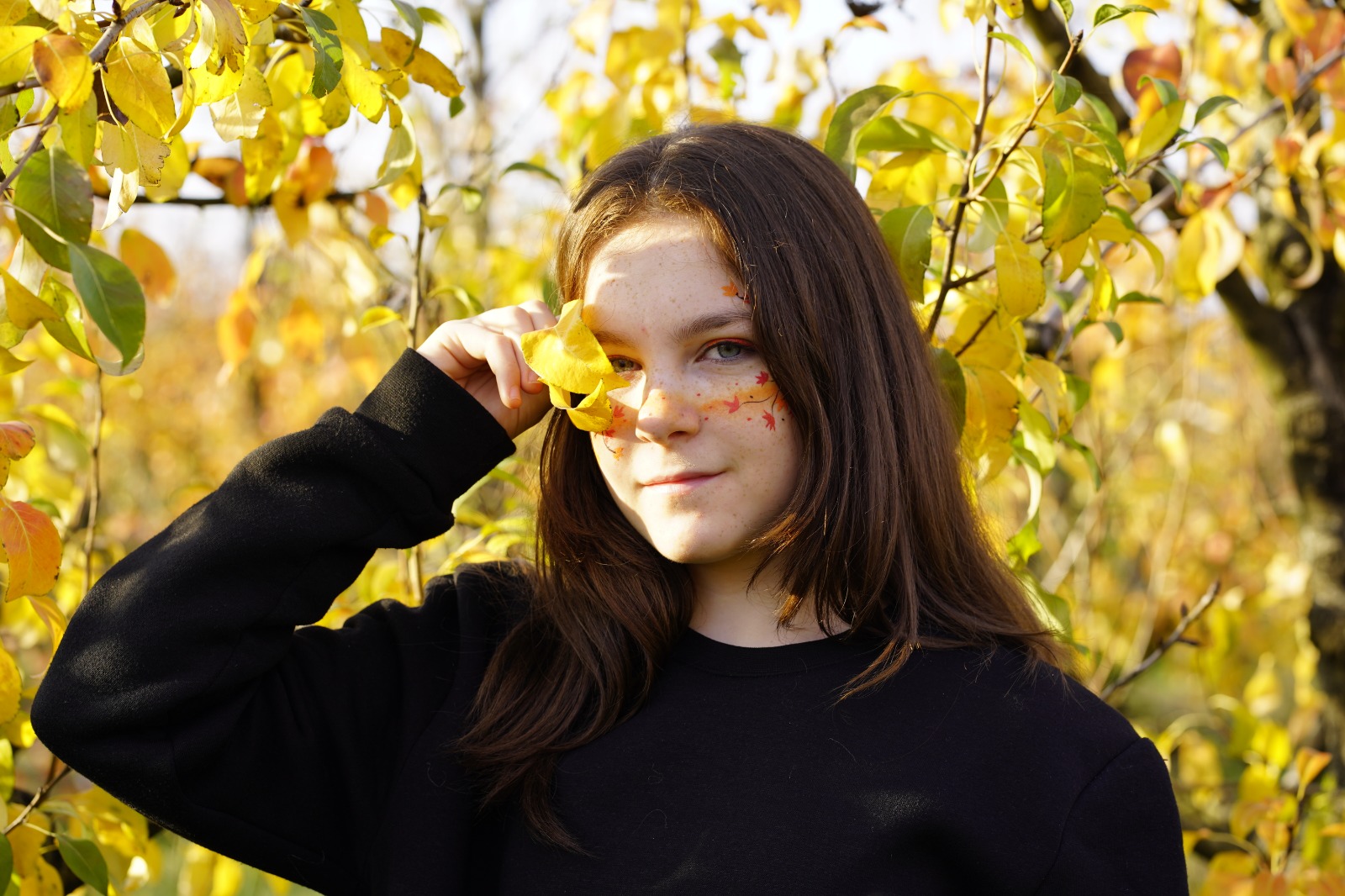 121E0A80 2735 450D 8C0F 7D7D8B5D7C84