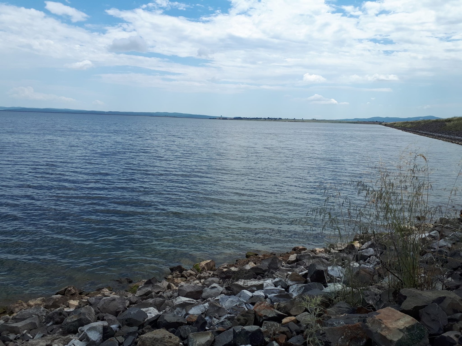 14E9B2Ed 99Af 4501 B031 19Ef76494428