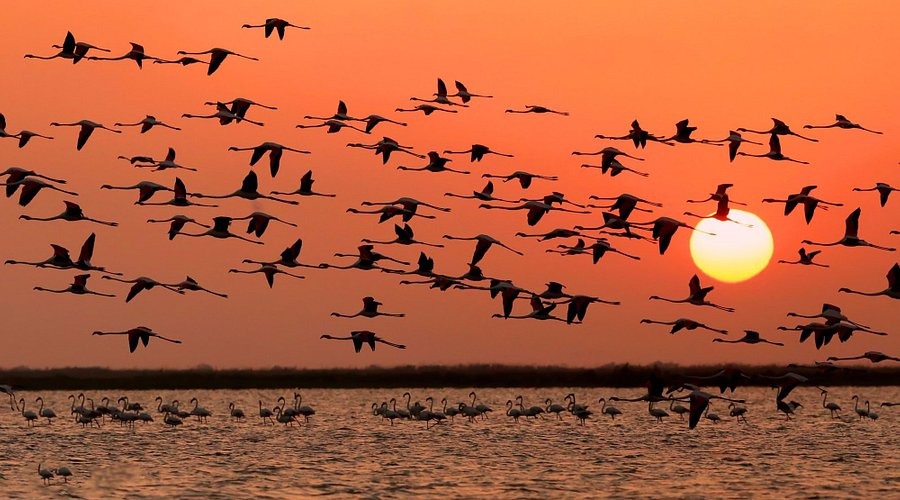 237F68Ed 682B 4001 9Ed8 C9A7Dc98D6Cd