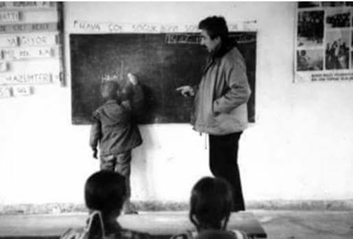 514260233 24033281036358518 584568856698673714 N