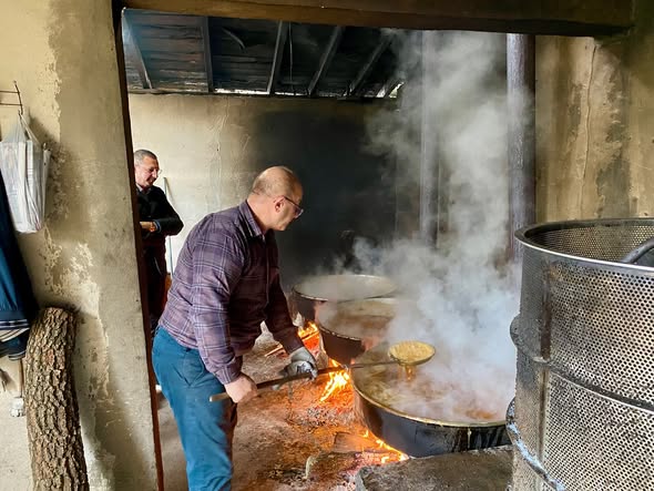 573617798 18028228979726746 5649437013904309683 N