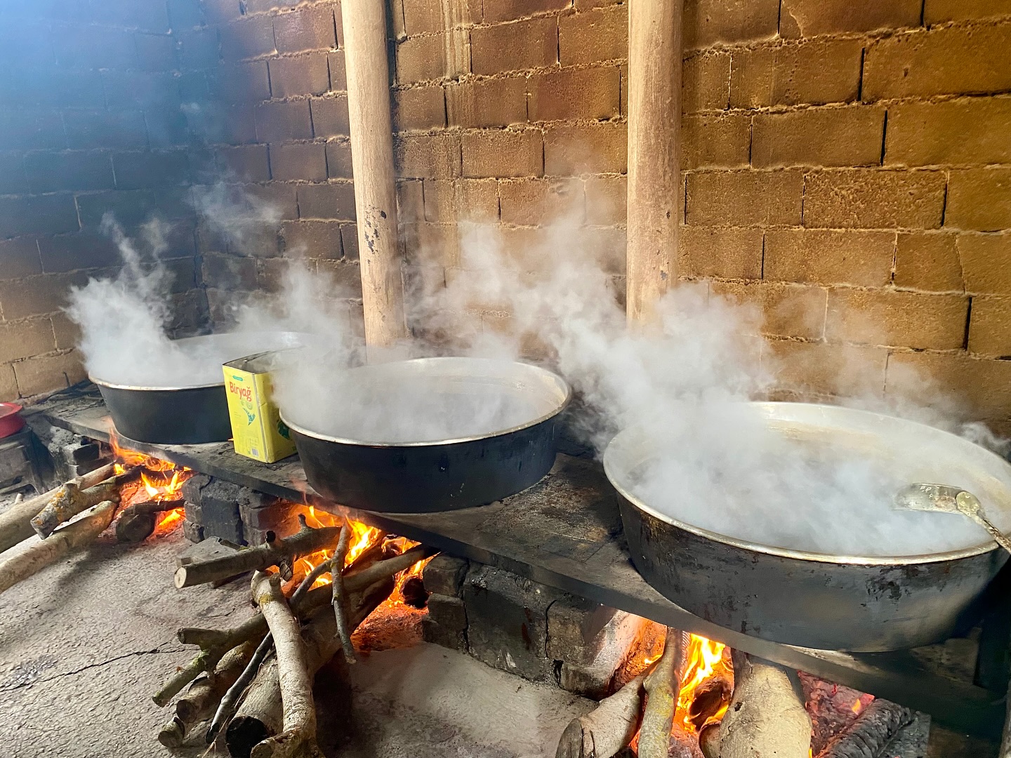 574234789 18028229012726746 6837866569236322303 N