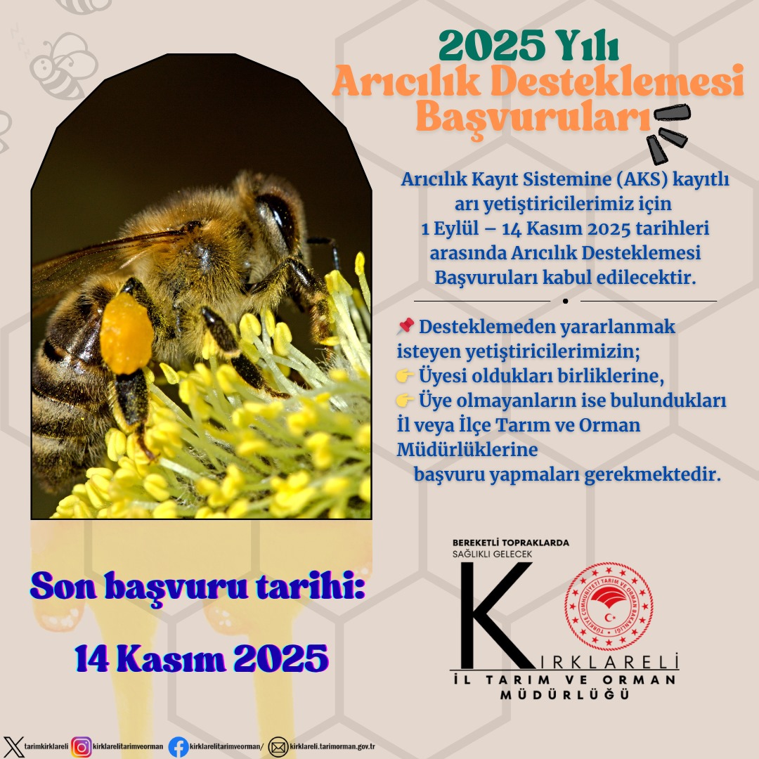 574877322 1278901414251521 1391065227422888044 N