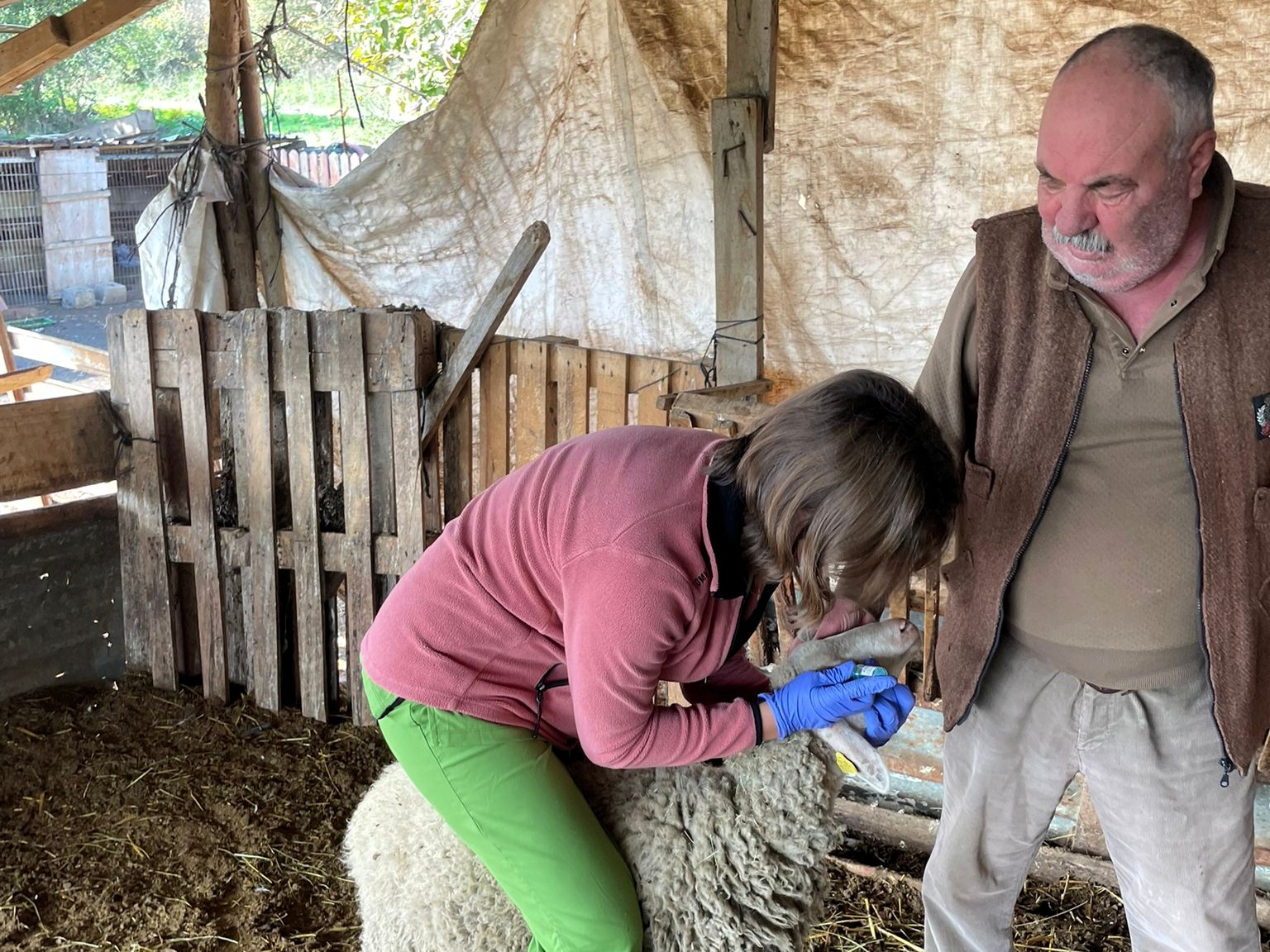 577325773 1284137640394565 4753565568444632380 N (1)