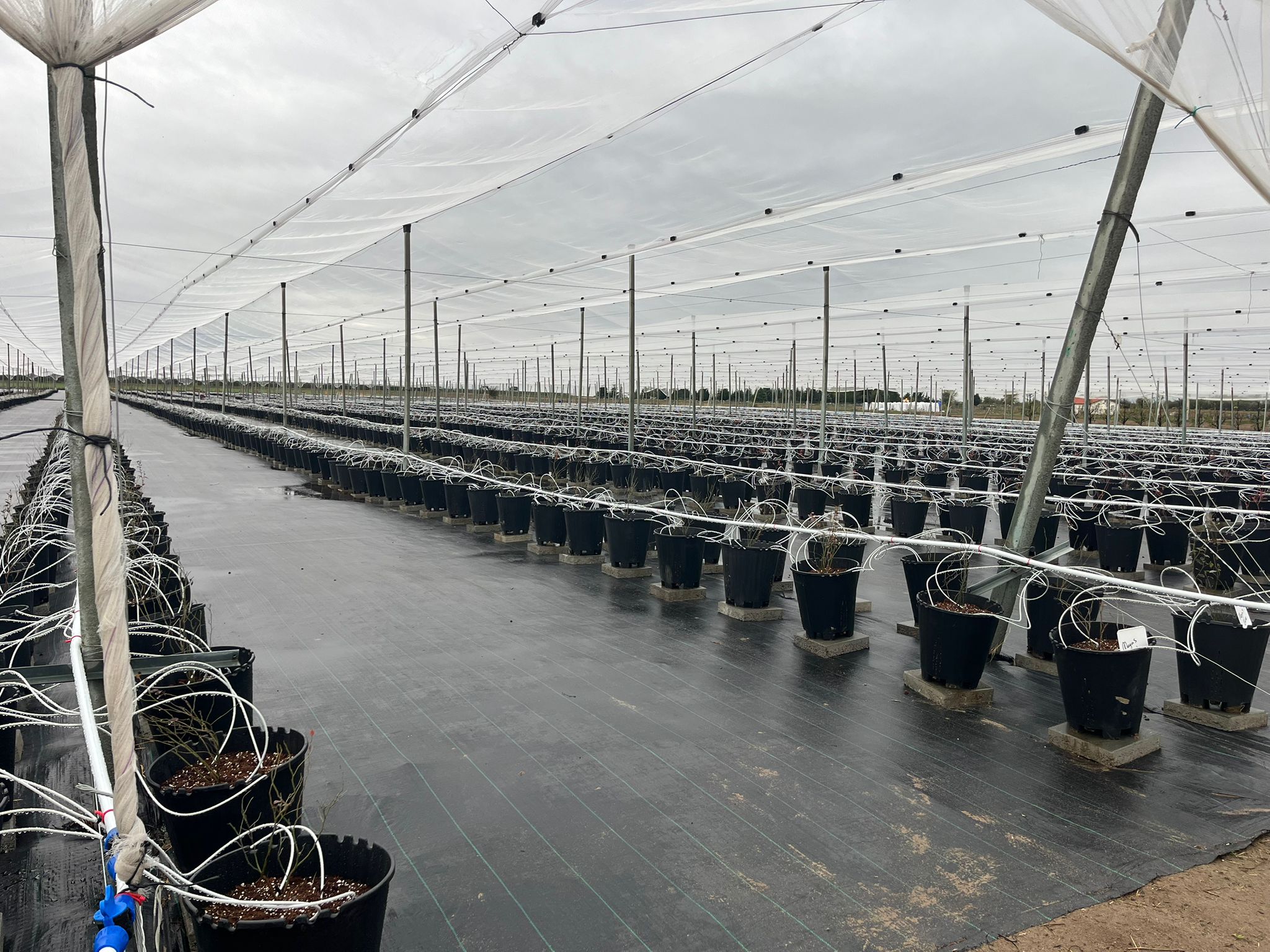 577558290 1284133260395003 8187259441393124209 N