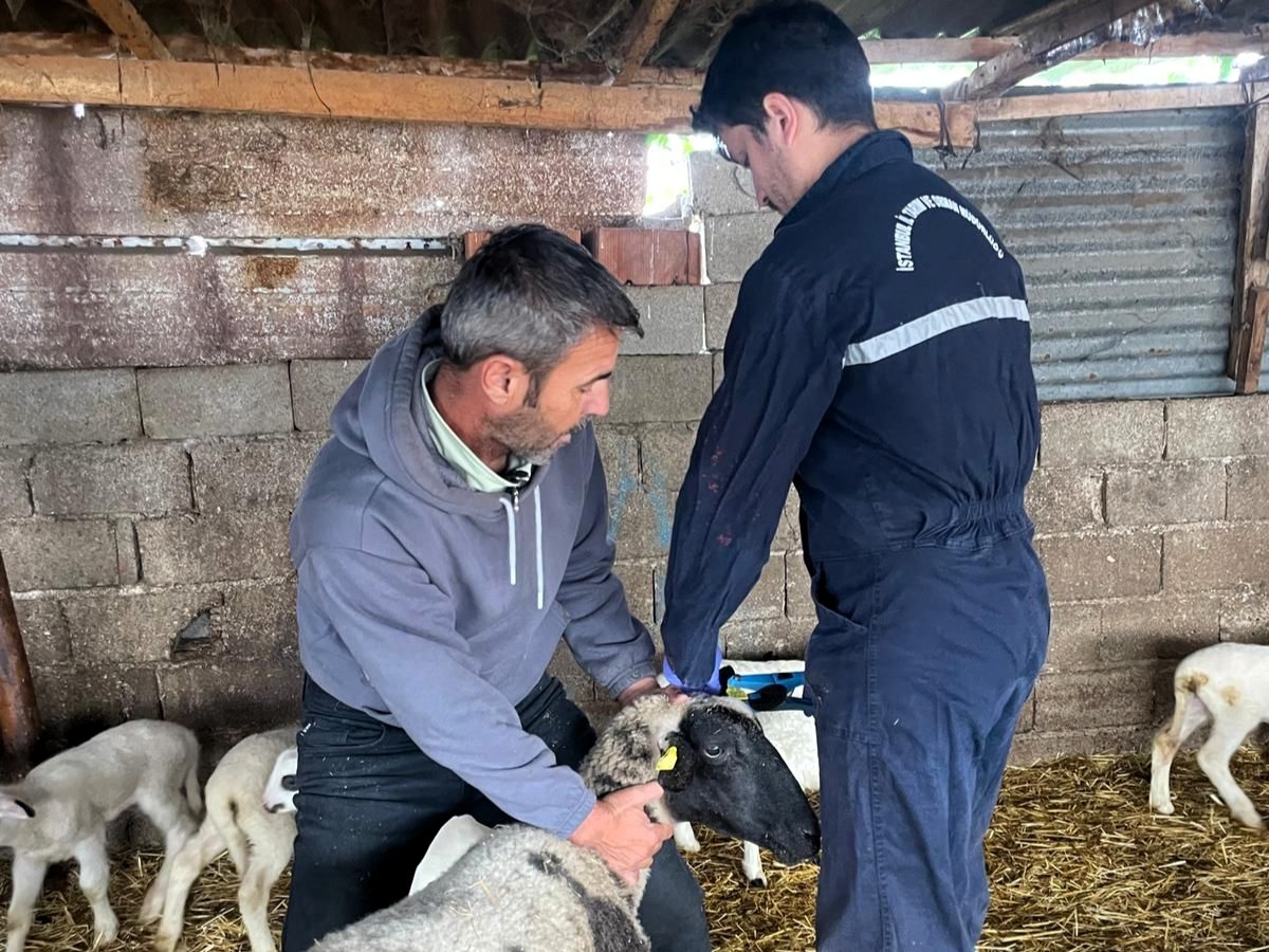 579039078 1284137623727900 5377114844637583433 N