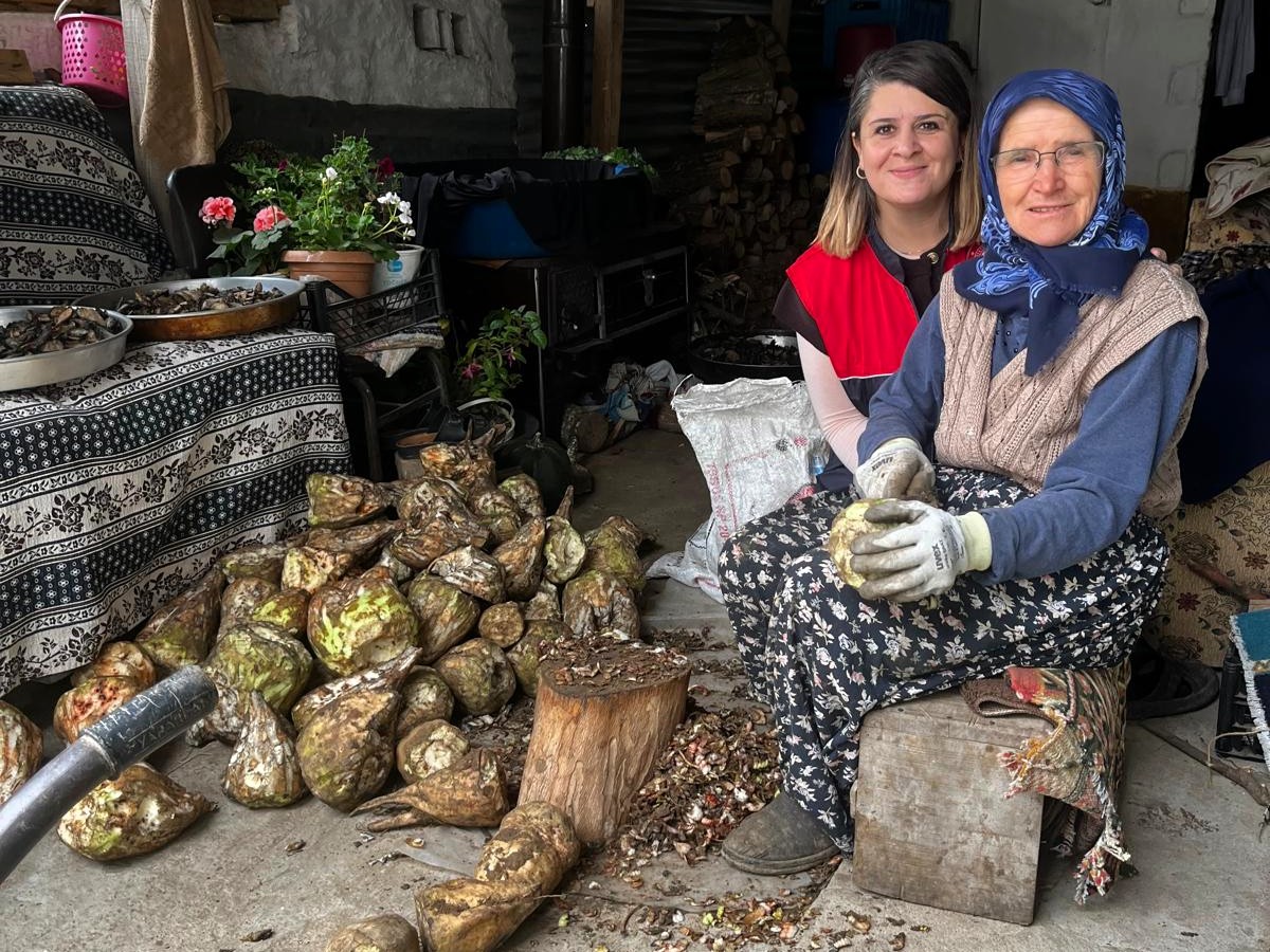 581111270 1287459803395682 4271910372150390718 N