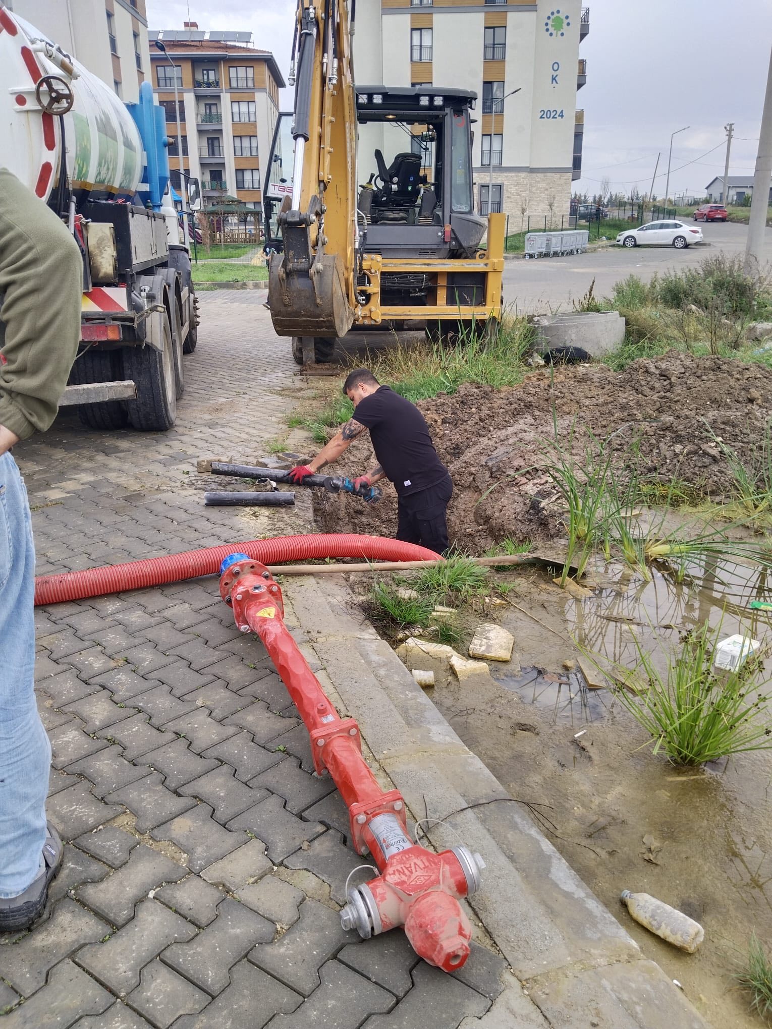 581936684 1130065355965538 6783478999867529950 N