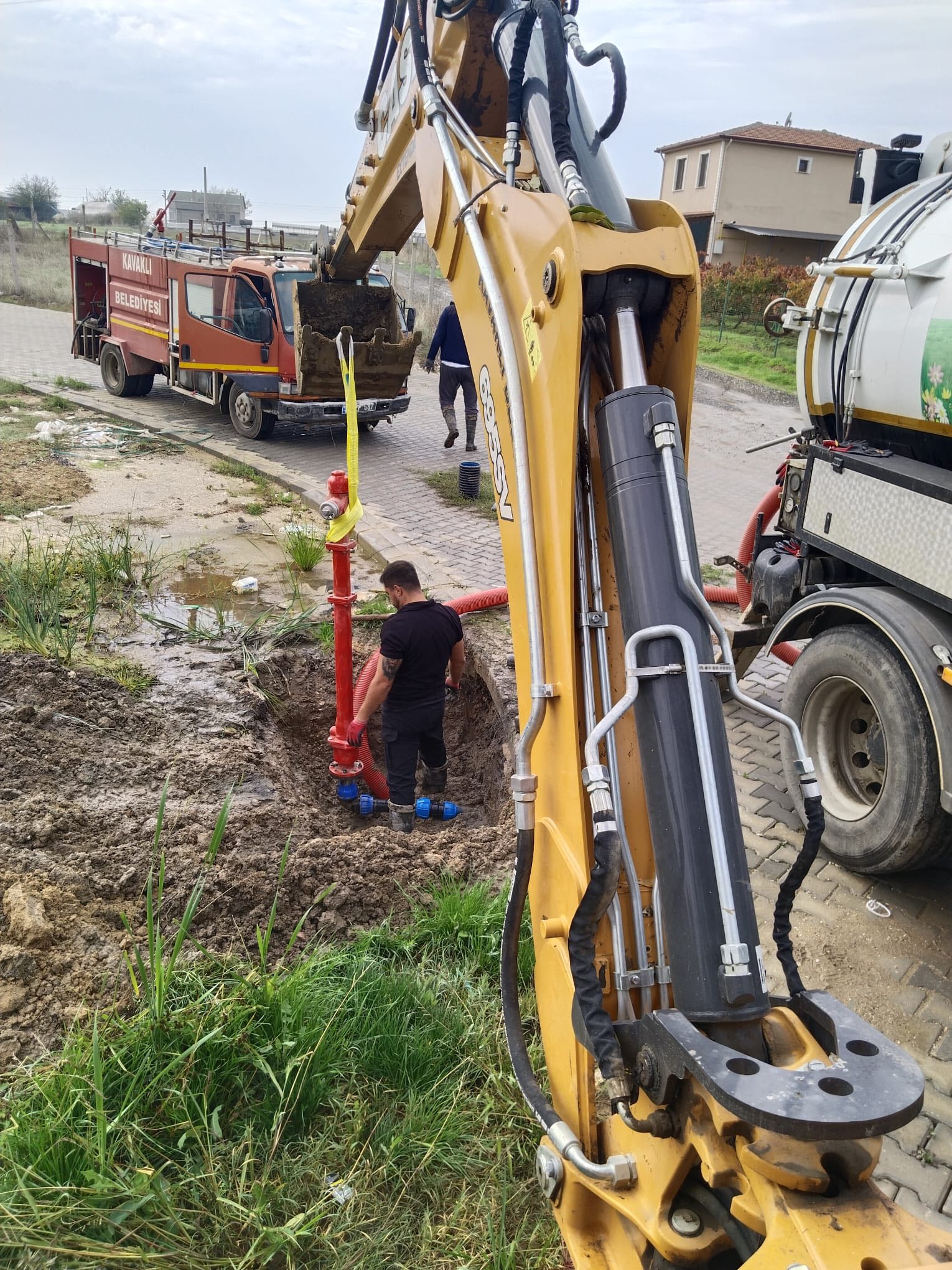 581942581 1130065295965544 9098007607742929778 N