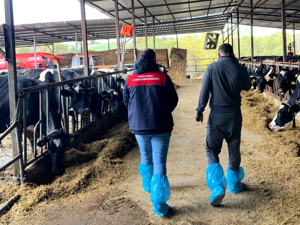 583032724 1291132556361740 6881422505932893716 N