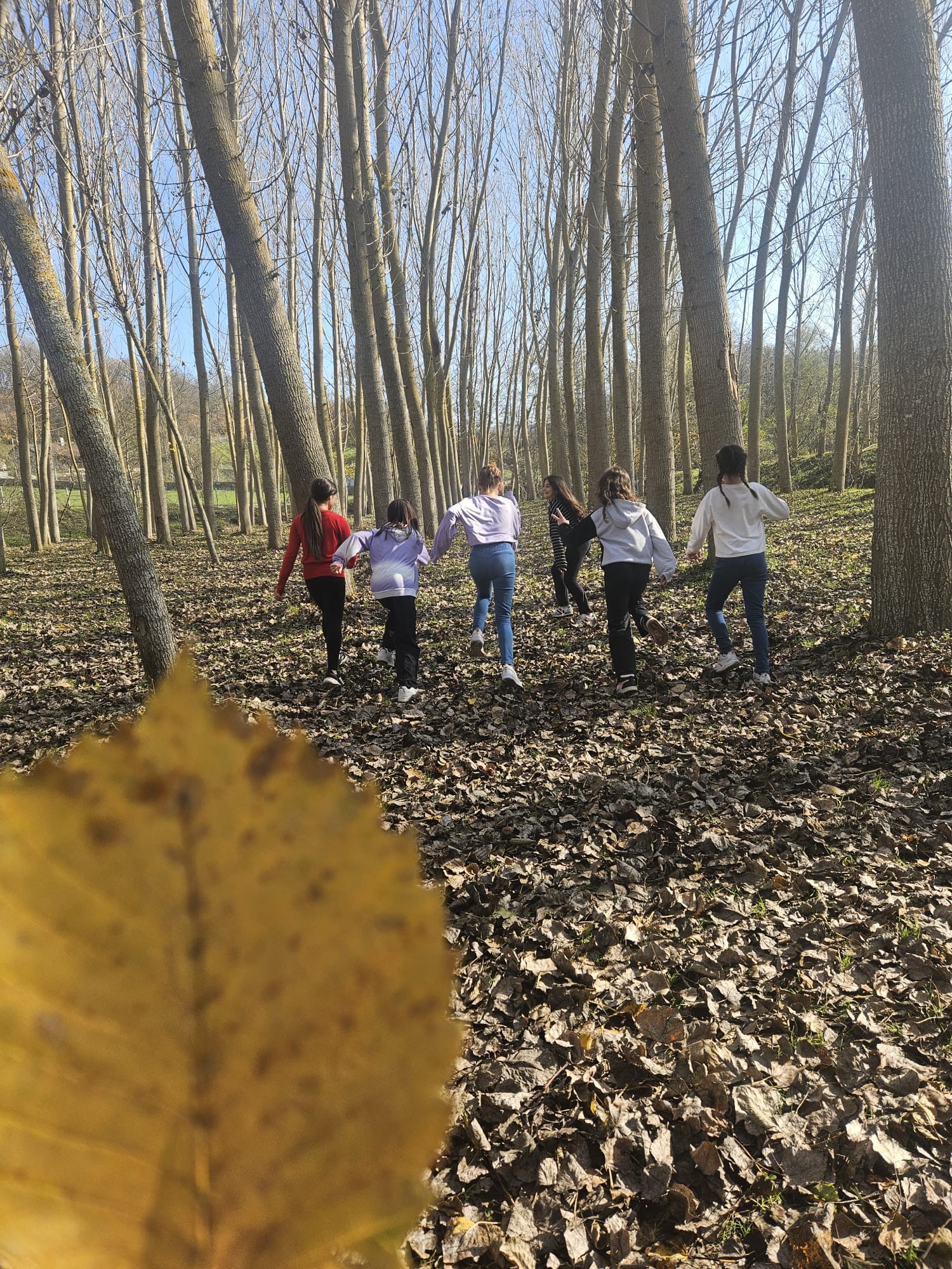 584478881 1358607882487093 5506606740573522914 N