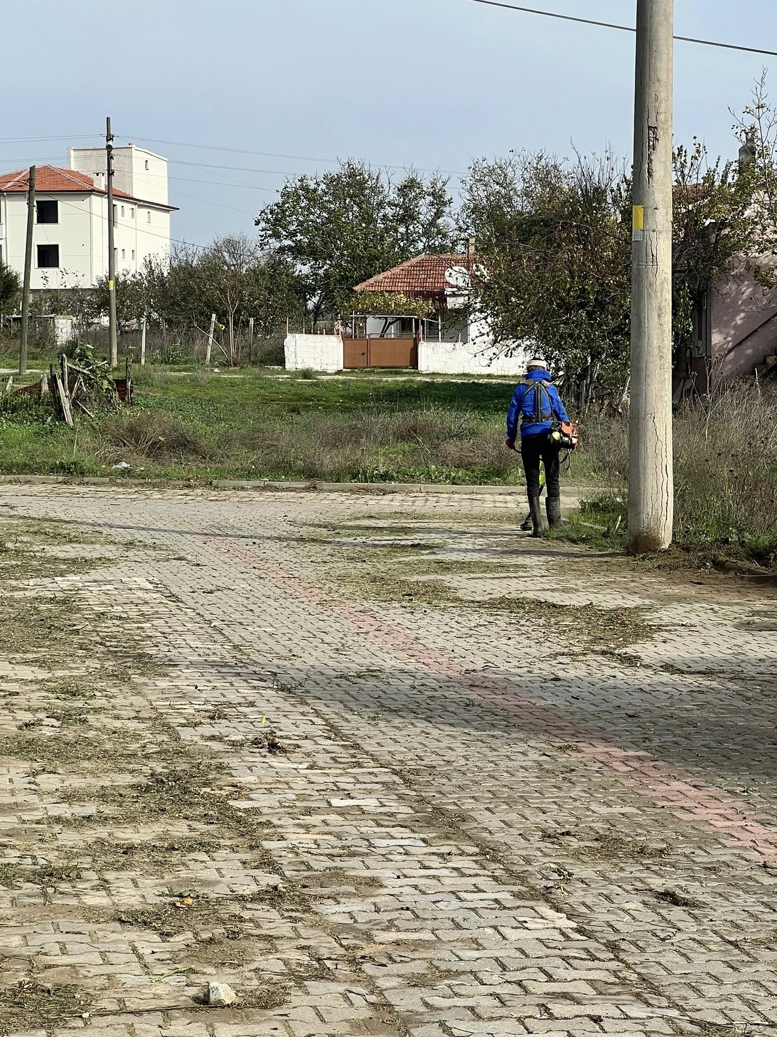 584631749 1165173845750319 3926931297092432127 N