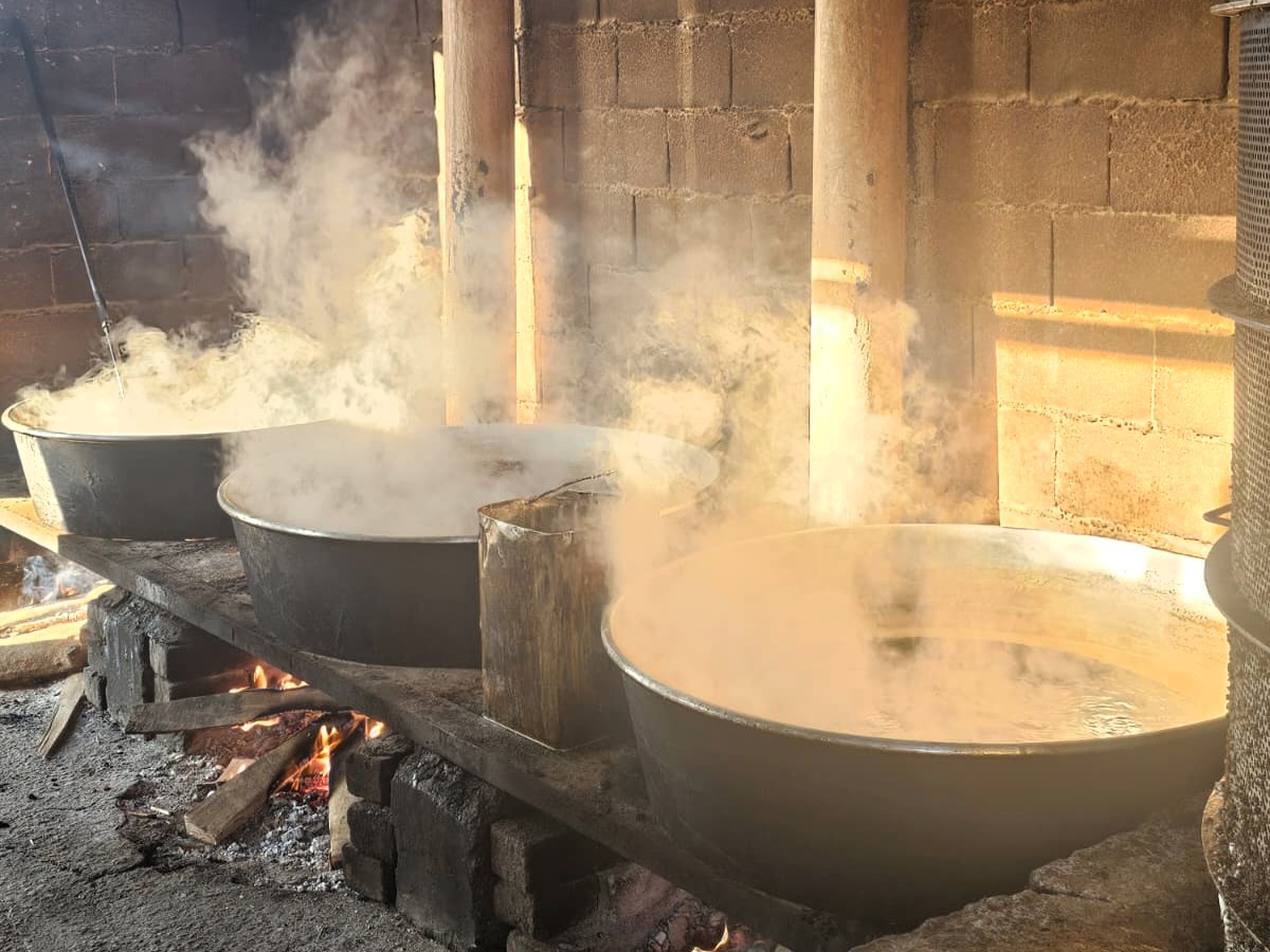 588799565 1300039472137715 8045429699381654261 N