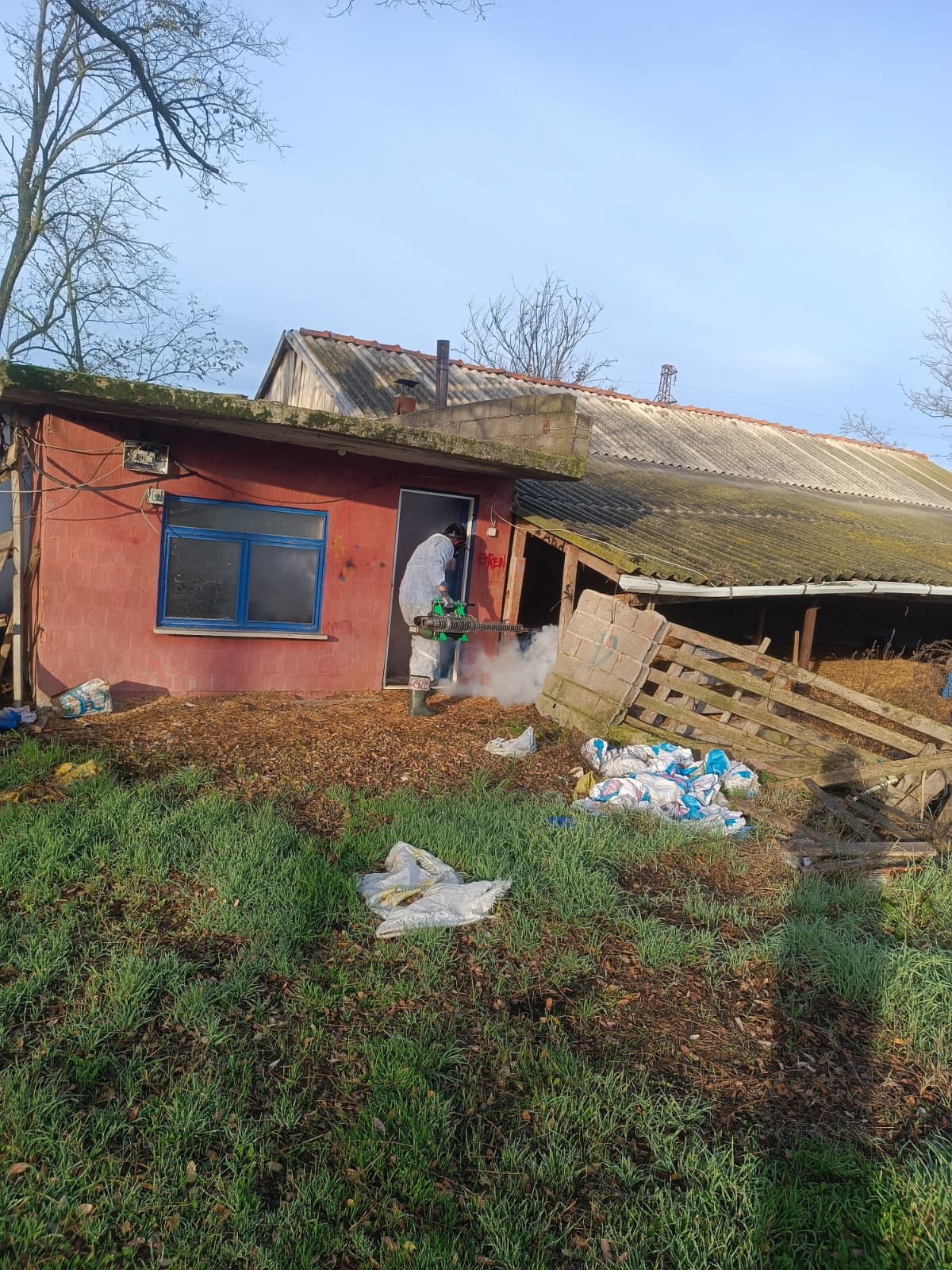 590433264 1172043655063338 3664352787272126202 N