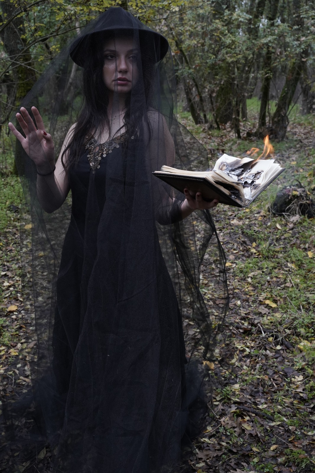 743C5298 Bbaa 4C63 9Fee 19A41248719C