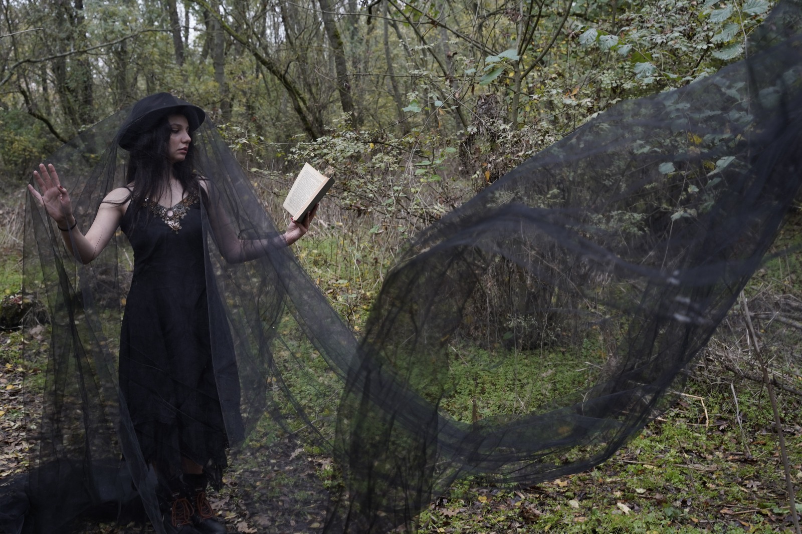 76386E92 6C3C 44C4 997A F525A9B6B156