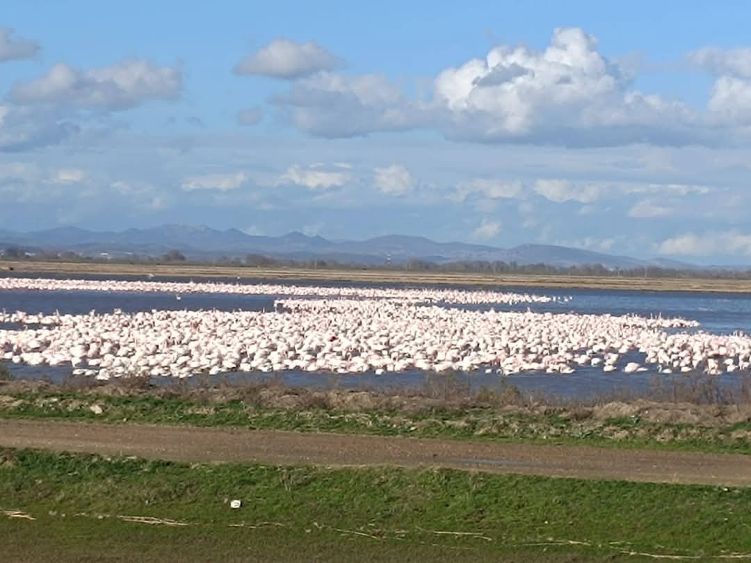 92C9F8F3 6E4A 4Cb9 Ac35 Dd23479D469E