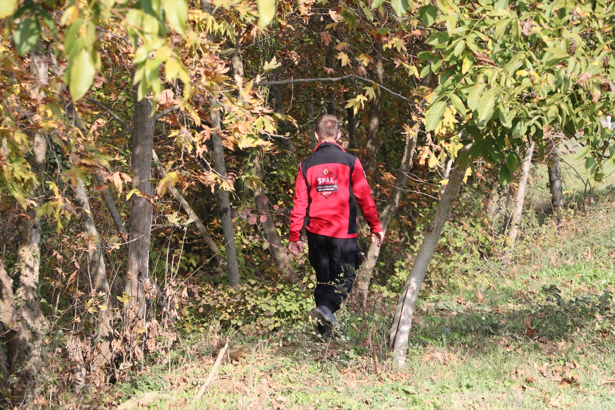 A A 20251104 39612973 39612968 T E K I R D A G D A B I R H A F T A D I R K A Y I P O L A N K I S I A R A N I Y O R-1