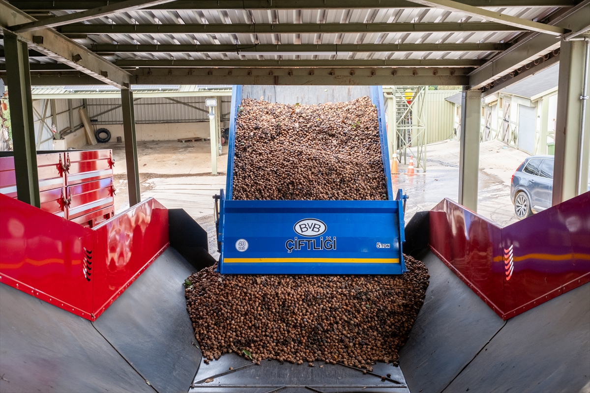 A A 20251108 39650712 39650705 K I R K L A R E L I N D E K I R A C A L A N D A C E V I Z U R E T I M I N E B A S L A Y A N I S L E T M E E L E K T R I G I N I G U N E S T E N K A R S I L I Y O R