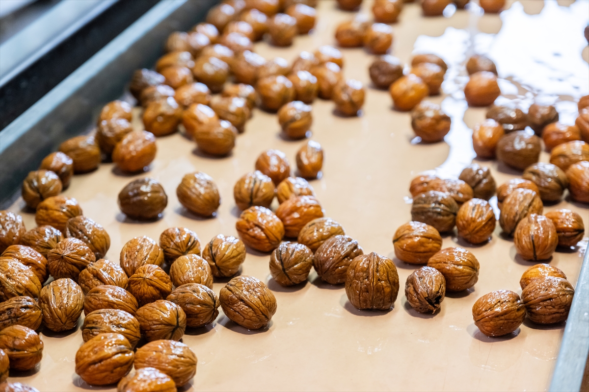 A A 20251108 39650712 39650706 K I R K L A R E L I N D E K I R A C A L A N D A C E V I Z U R E T I M I N E B A S L A Y A N I S L E T M E E L E K T R I G I N I G U N E S T E N K A R S I L I Y O R